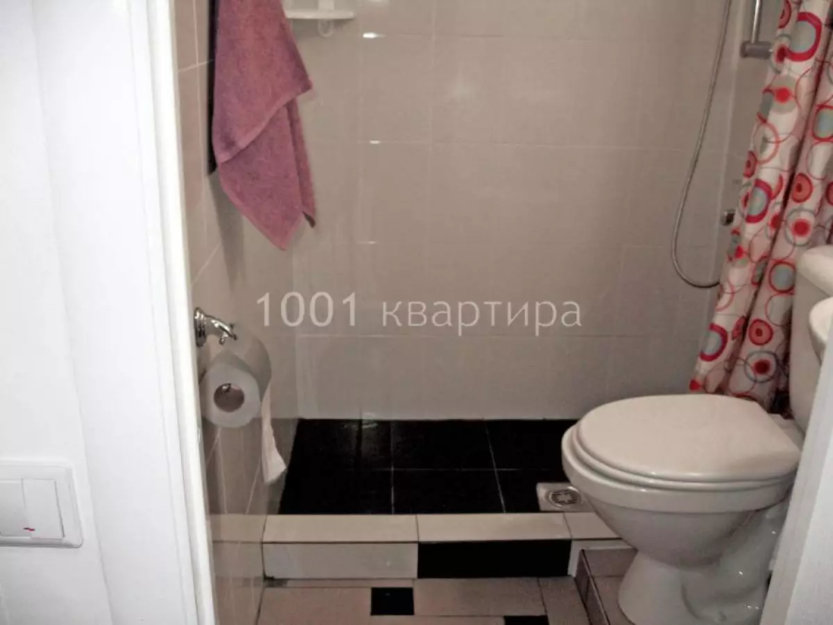 Вариант #113675 для аренды посуточно в Москве 002