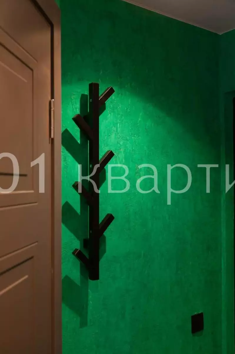 Вариант #141134 для аренды посуточно в Москве Духовской, д.19с2 на 2 гостей - фото 16