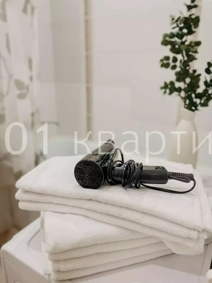 Вариант #142619 для аренды посуточно в Казани Азата Аббасова, д.8 на 4 гостей - фото 16